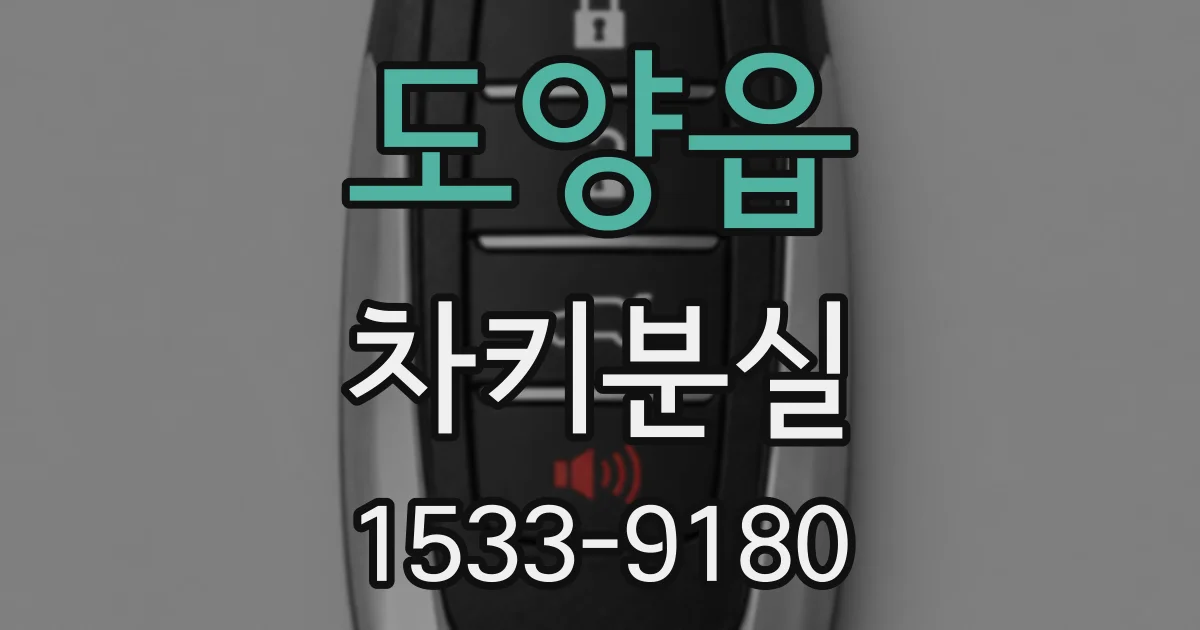 도양읍 차키분실