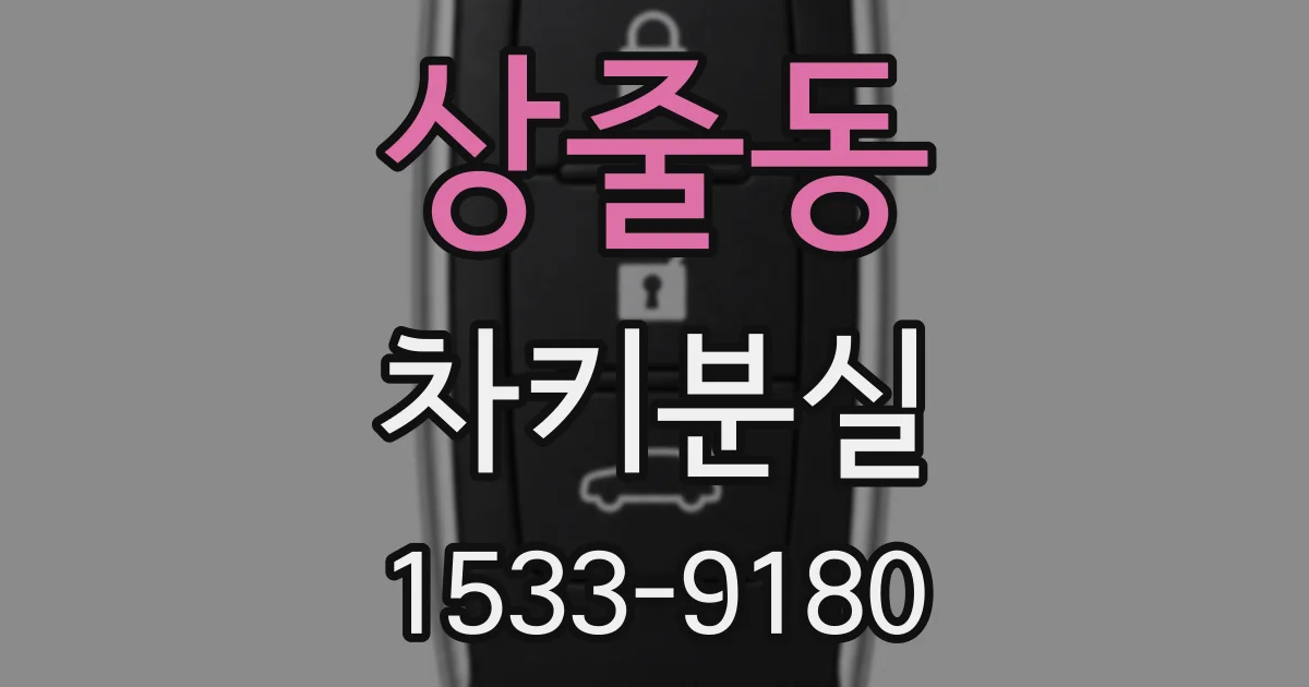 상줄동 차키분실