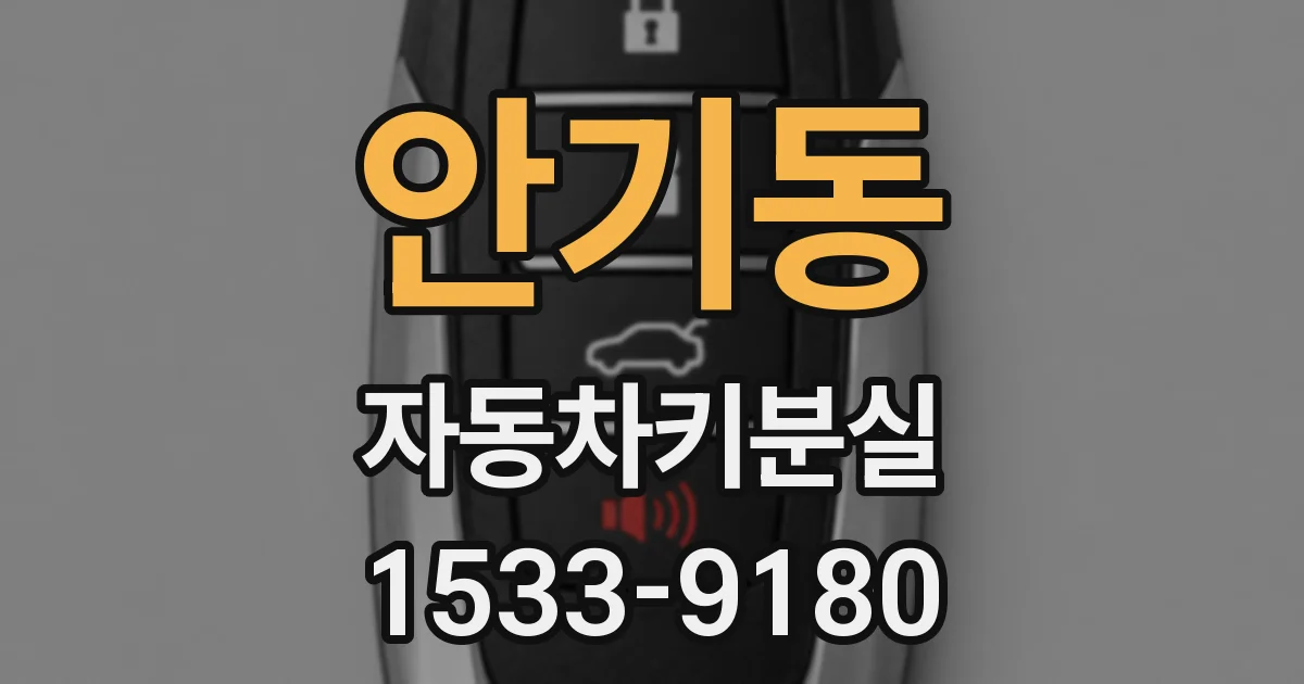안기동 자동차키분실
