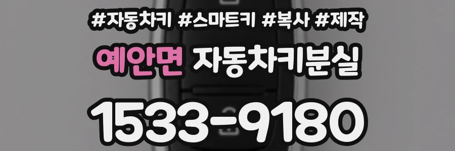 예안면 자동차키분실
