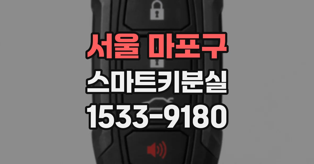 서울 마포구 스마트키분실