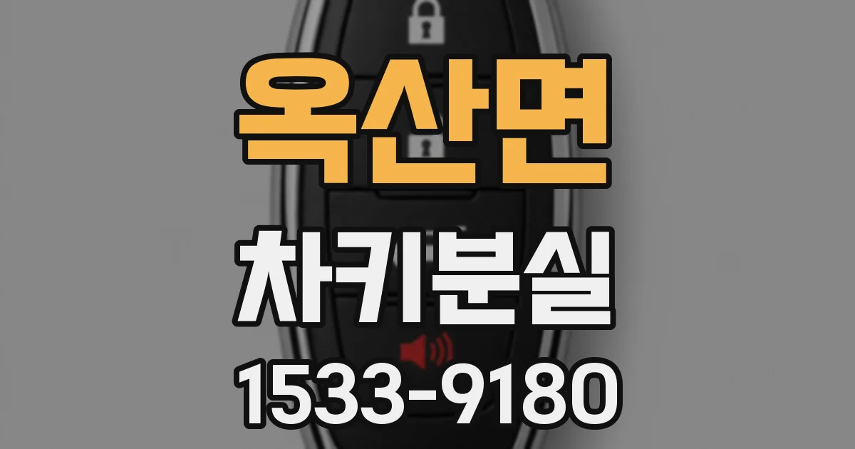 옥산면 차키분실