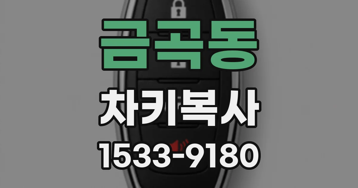 금곡동 차키복사