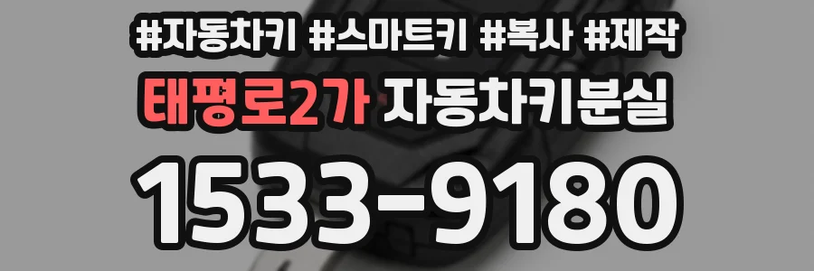 태평로2가 자동차키분실