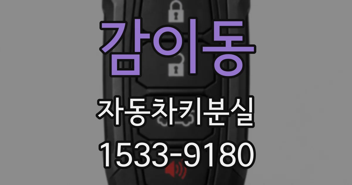 감이동 자동차키분실