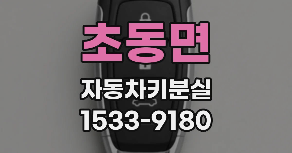 초동면 자동차키분실