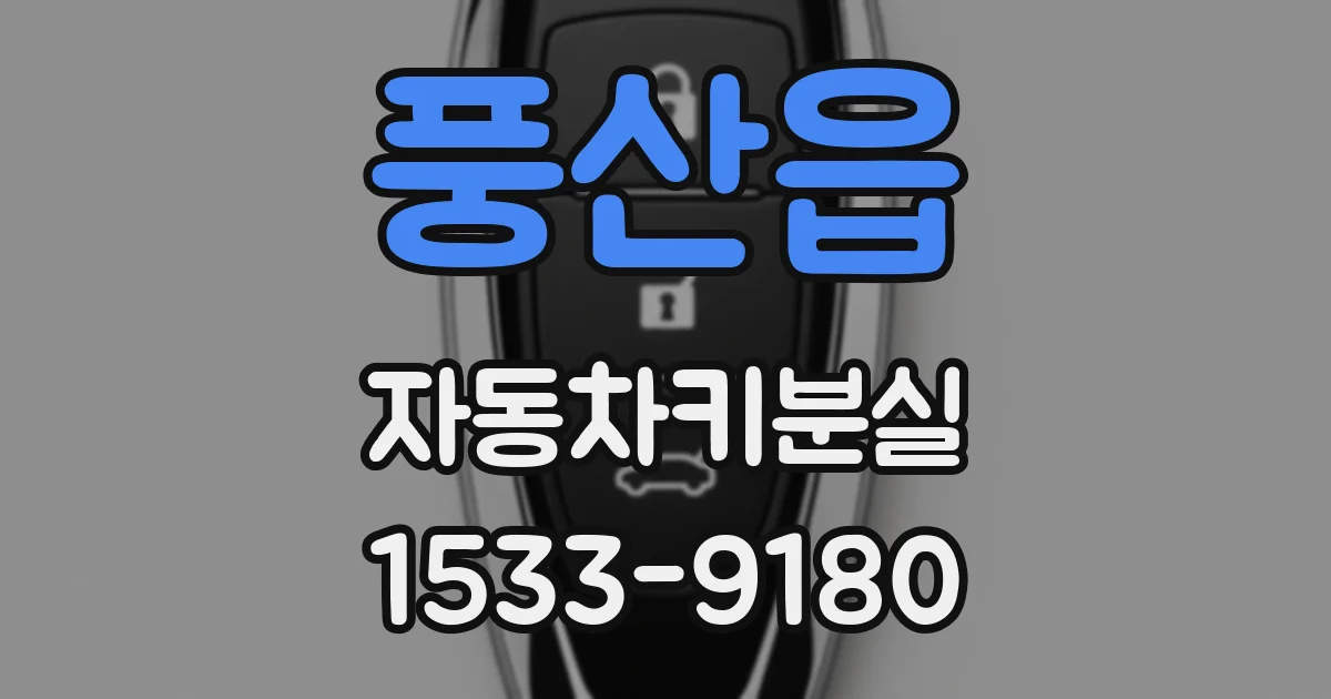 풍산읍 자동차키분실