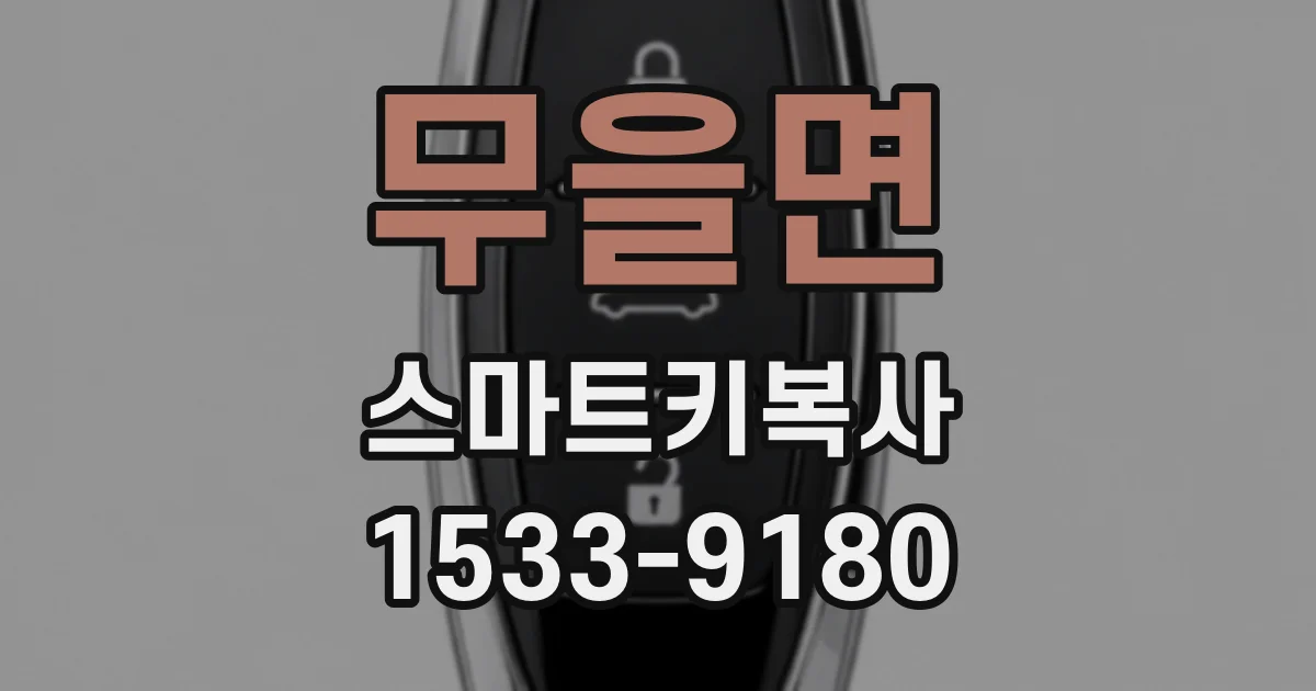 무을면 스마트키복사