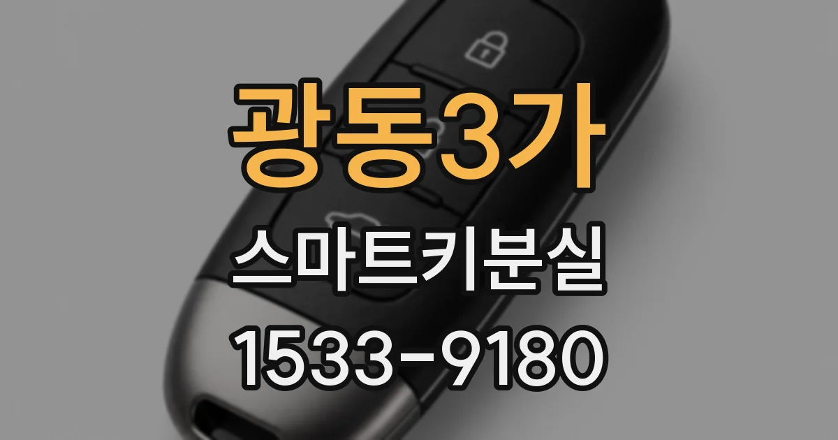 광동3가 스마트키분실