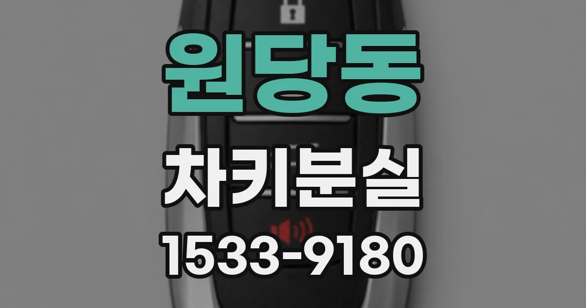 원당동 차키분실