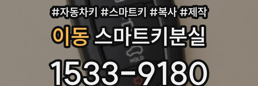 이동 스마트키분실