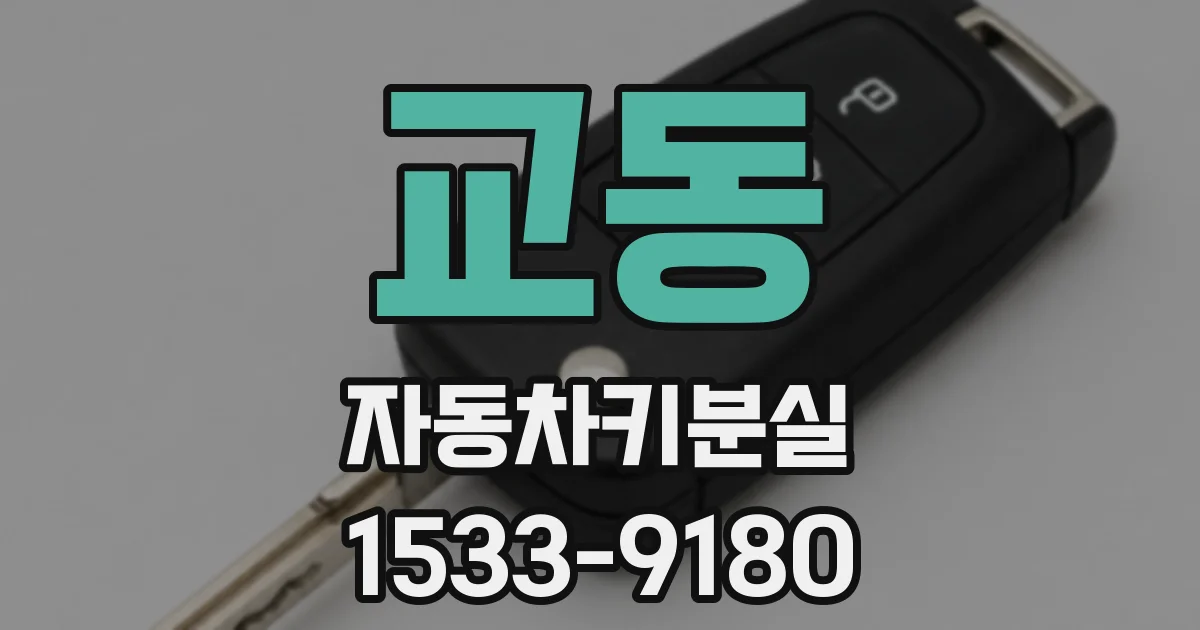 교동 자동차키분실