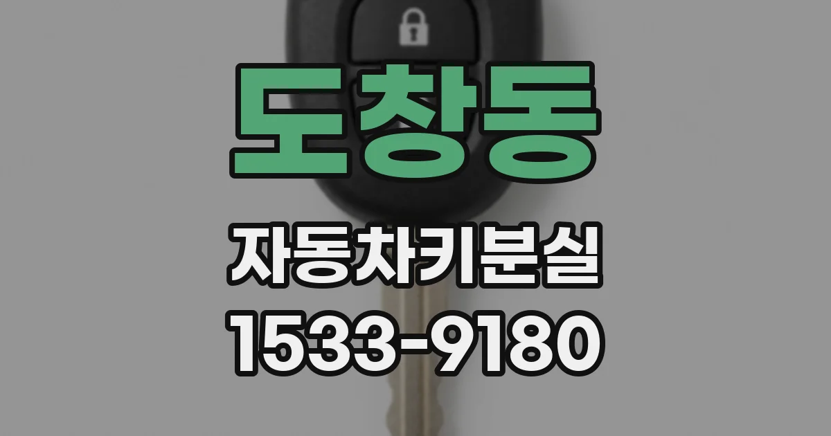 도창동 자동차키분실