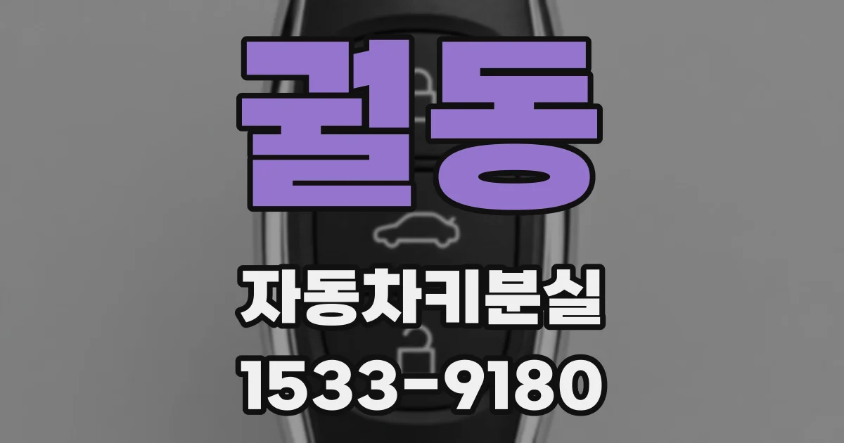 궐동 자동차키분실