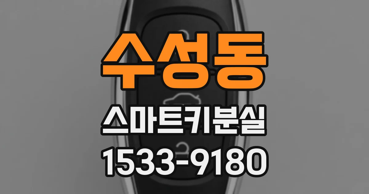 수성동 스마트키분실