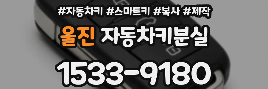 울진 자동차키분실