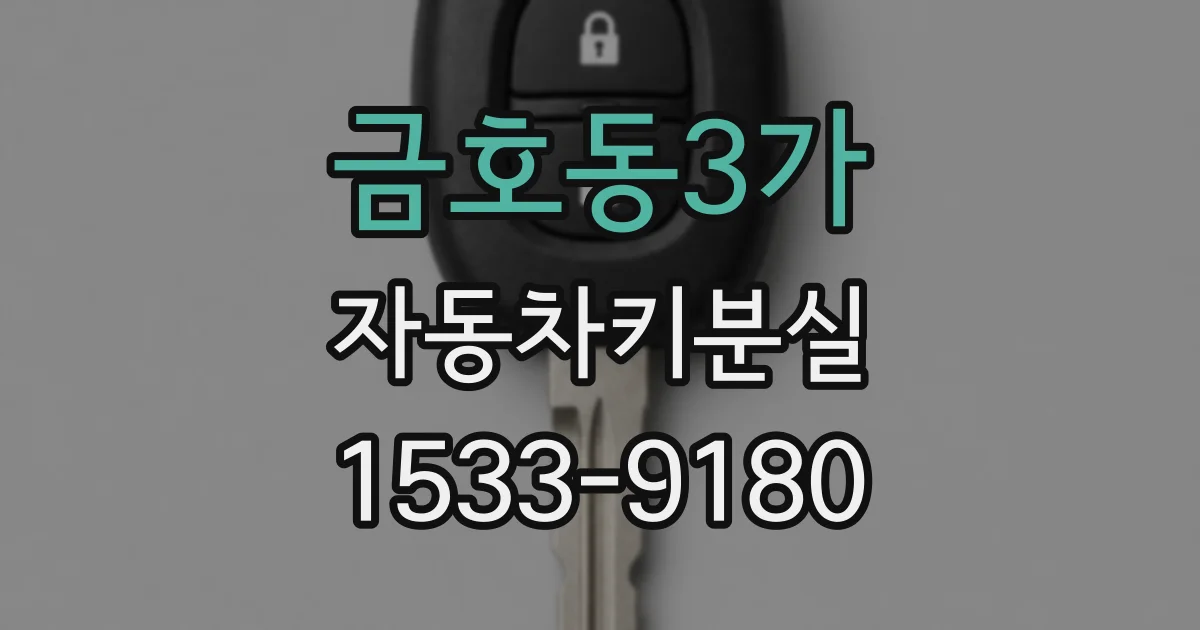 금호동3가 자동차키분실
