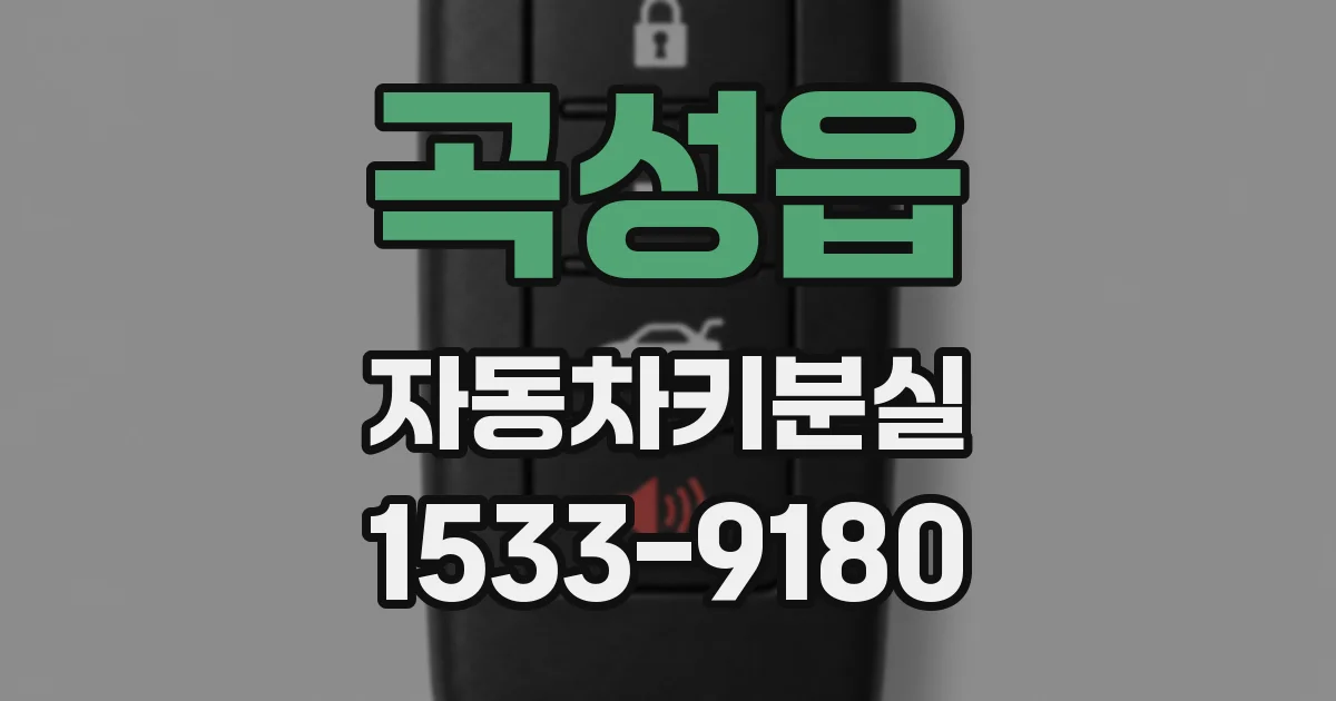 곡성읍 자동차키분실