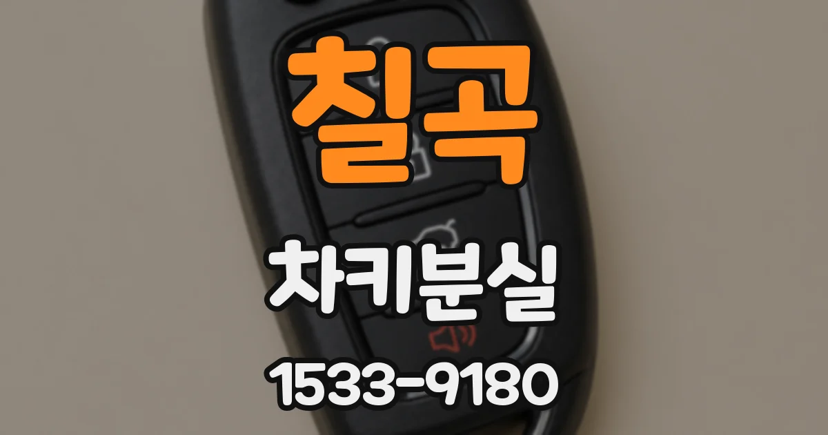 칠곡 차키분실