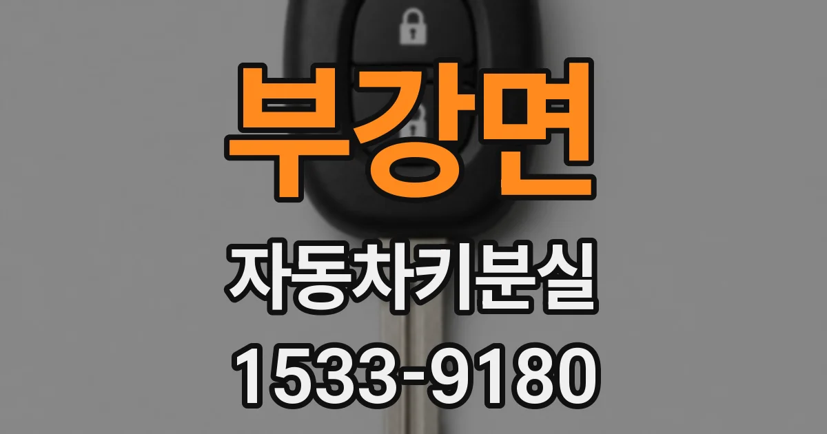 부강면 자동차키분실