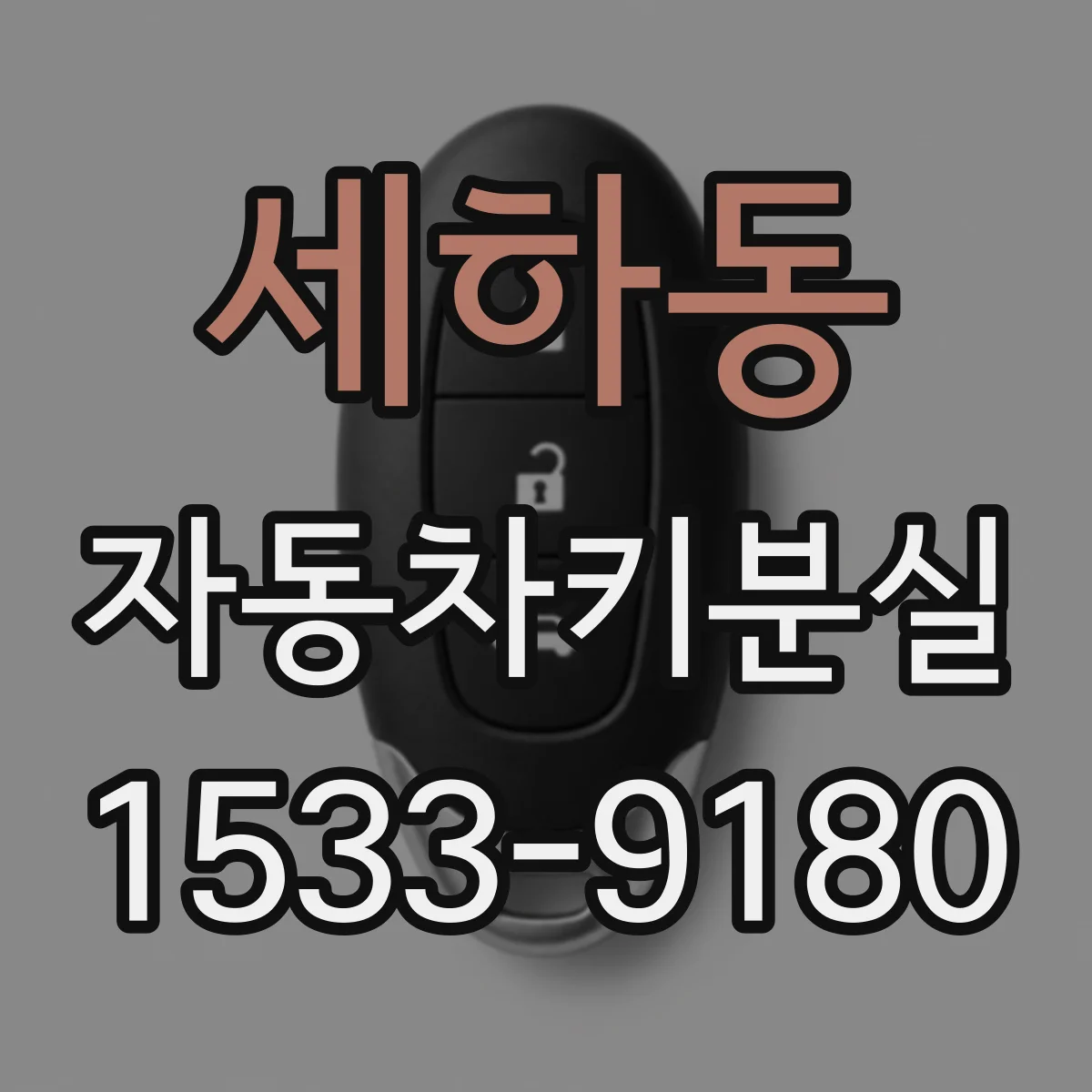 세하동 자동차키분실