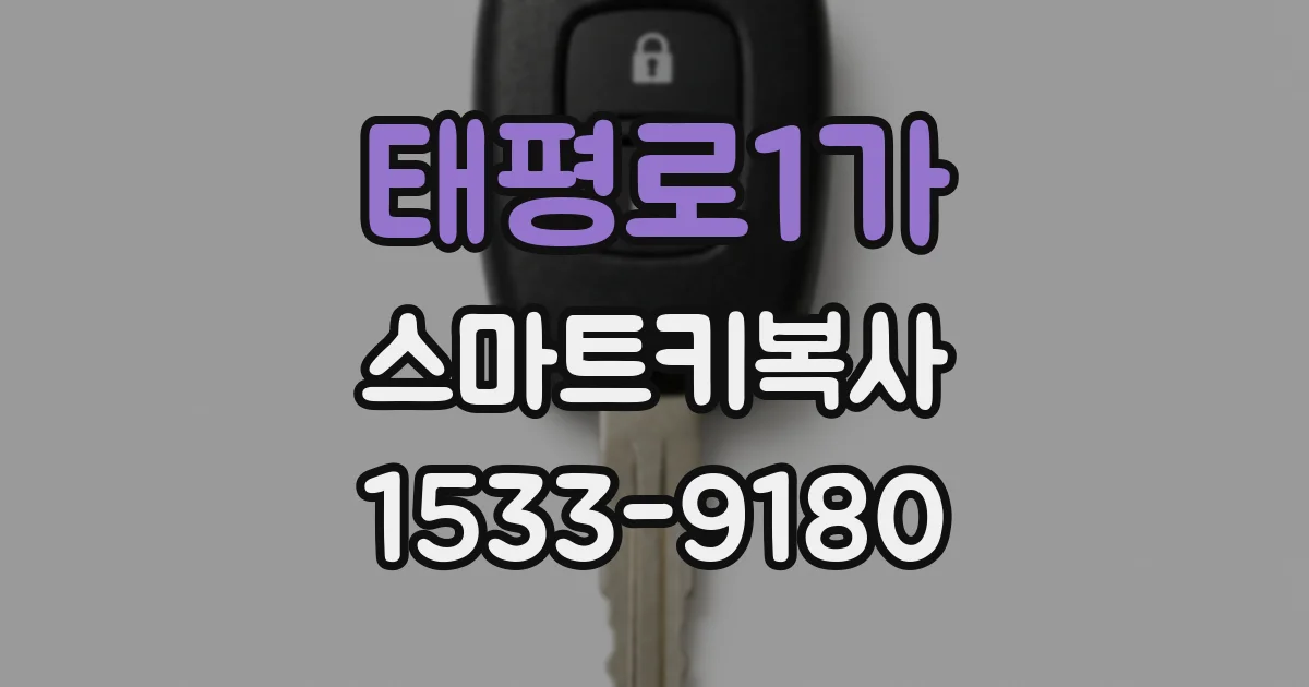 태평로1가 스마트키복사
