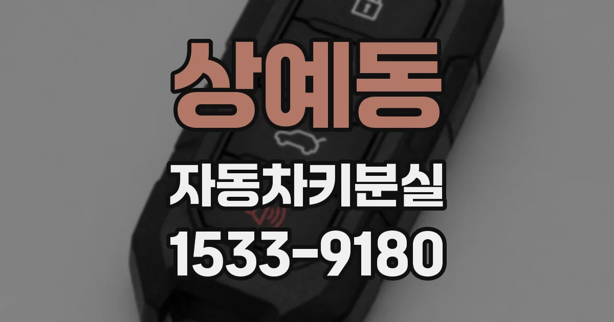 상예동 자동차키분실
