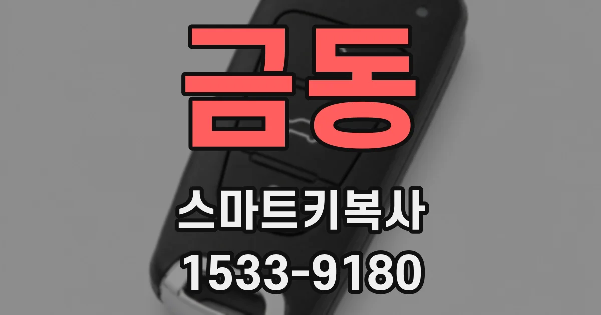 금동 스마트키복사