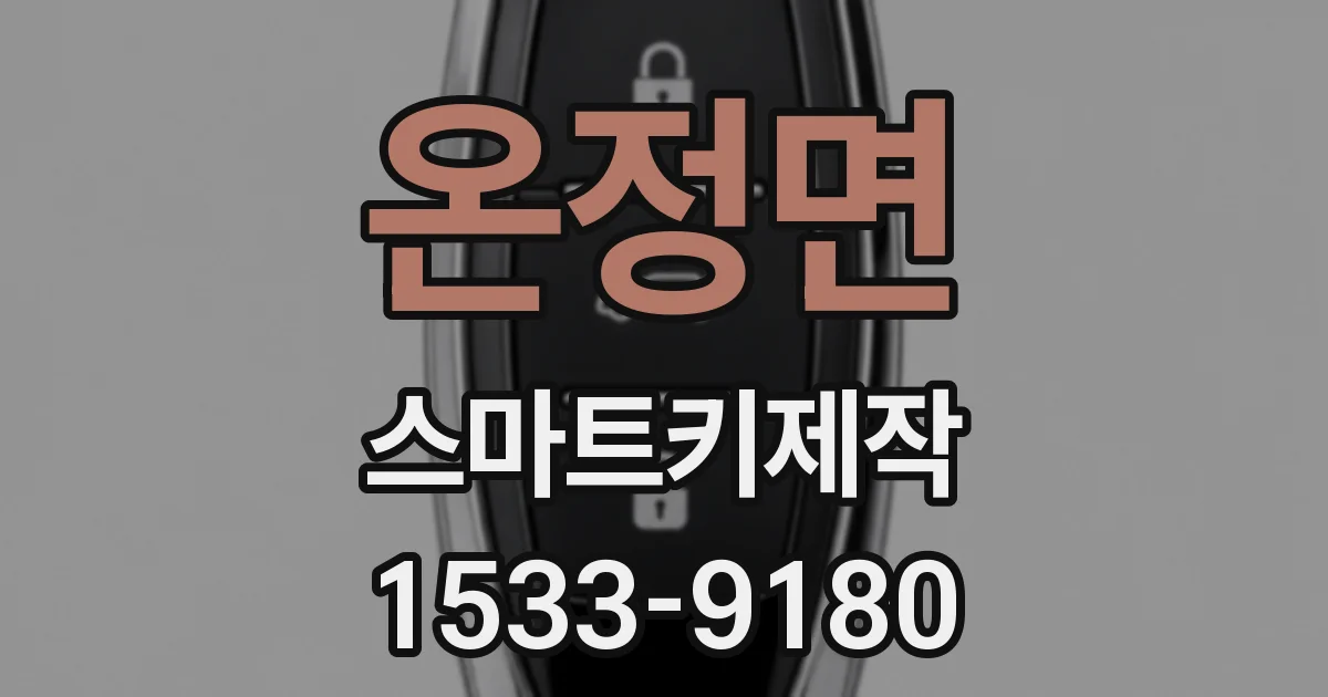 온정면 스마트키제작