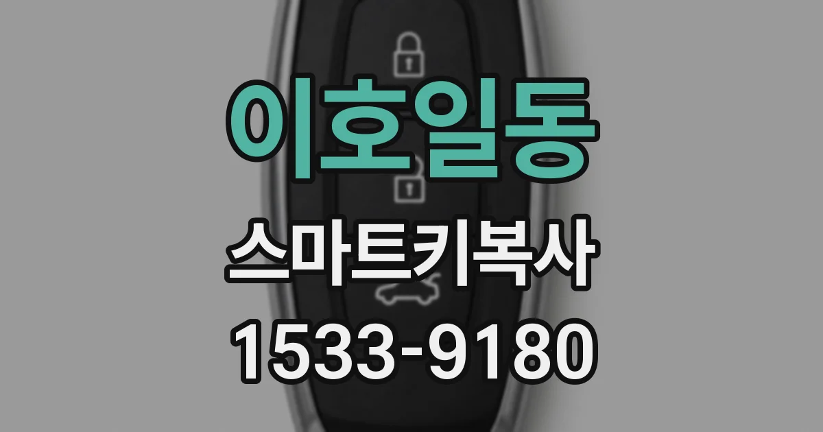 이호일동 스마트키복사