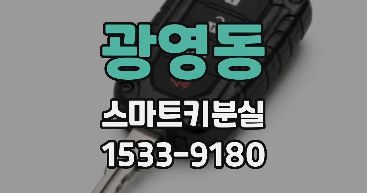 광영동 스마트키분실