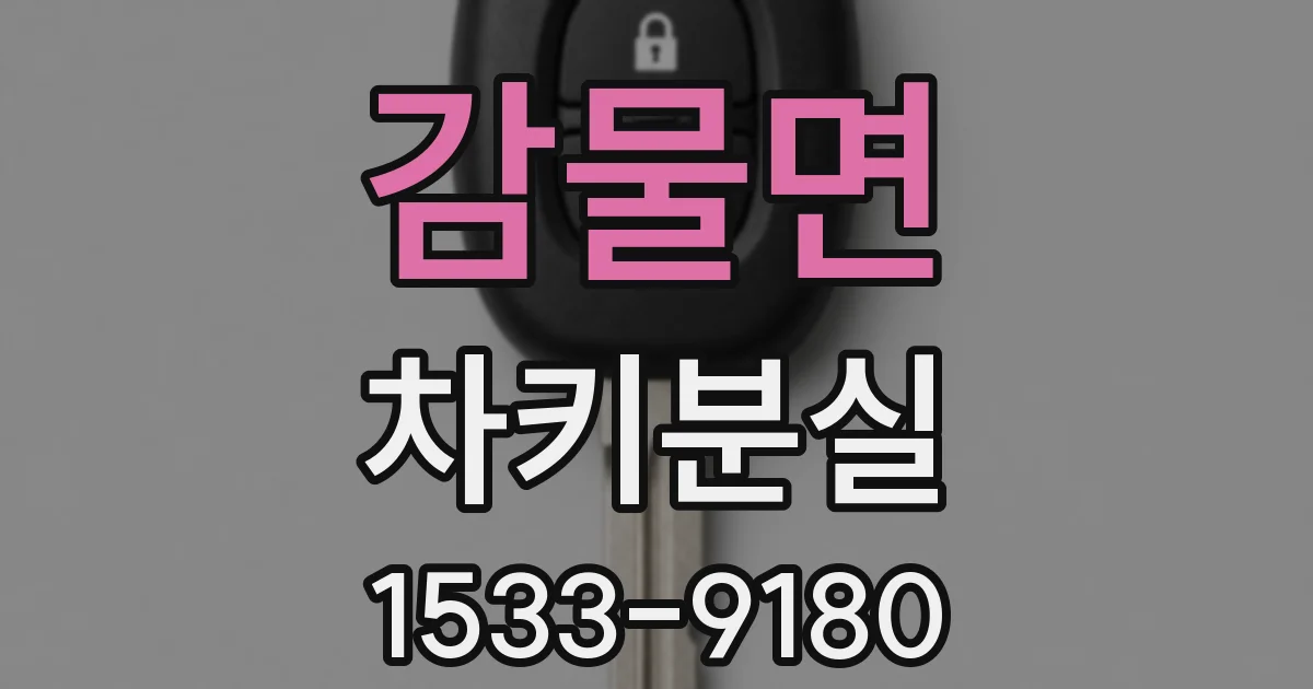 감물면 차키분실