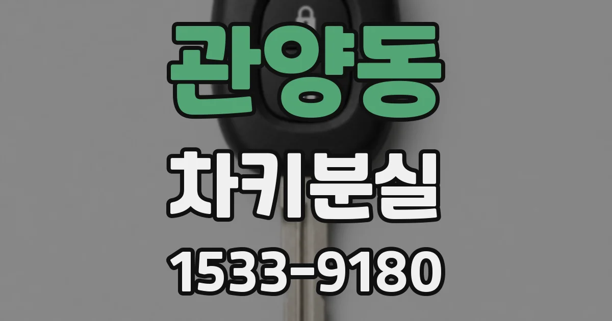 관양동 차키분실