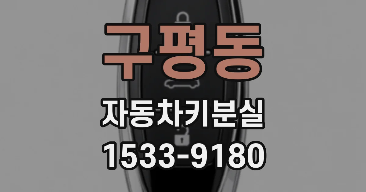 구평동 자동차키분실
