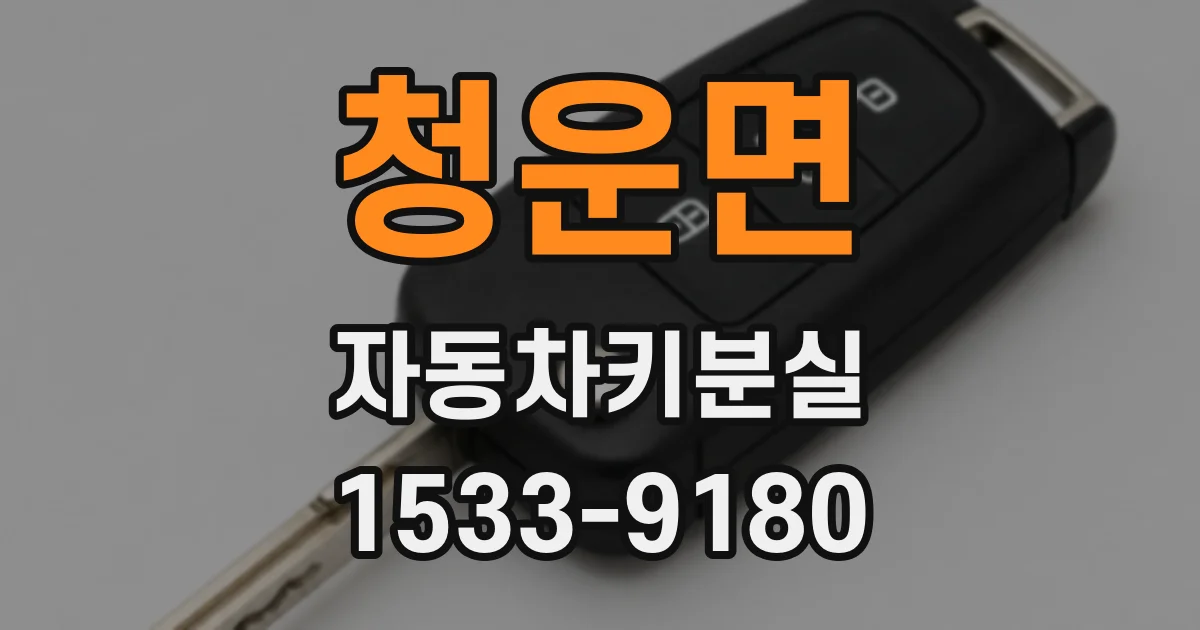 청운면 자동차키분실