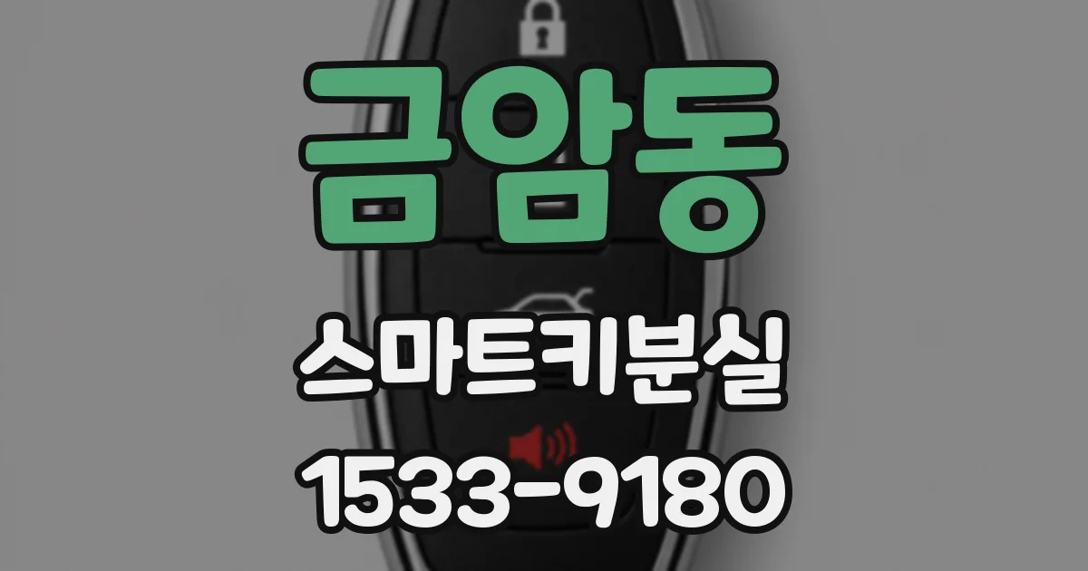 금암동 스마트키분실