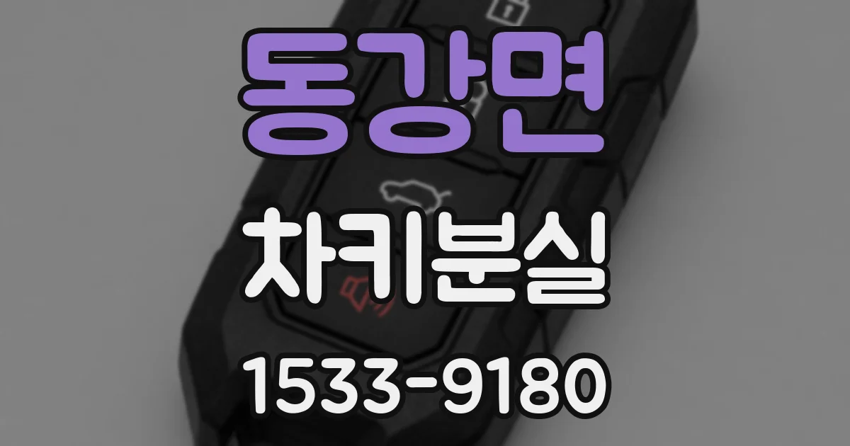 동강면 차키분실