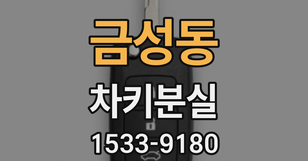 금성동 차키분실