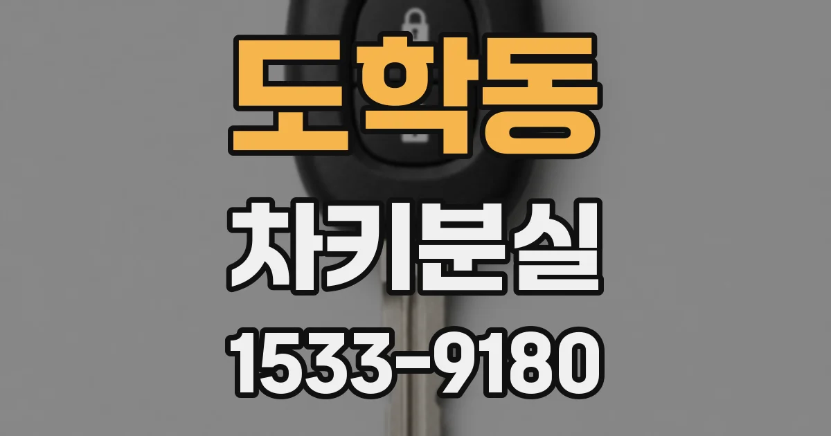 도학동 차키분실