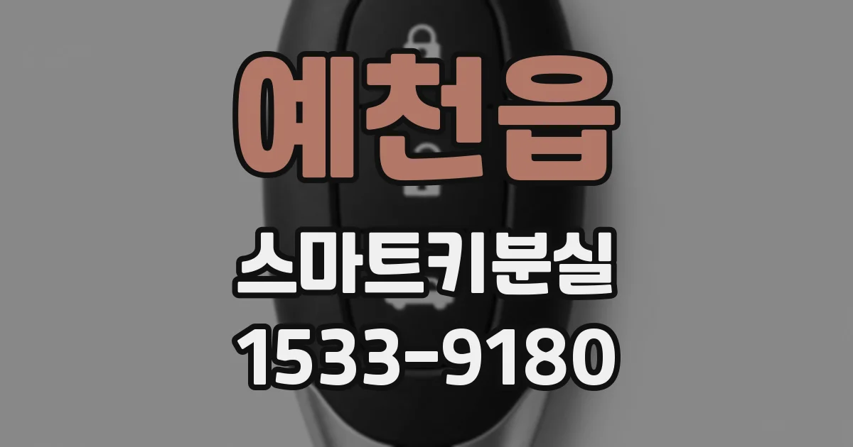 예천읍 스마트키분실