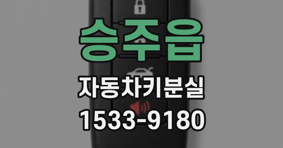 승주읍 자동차키분실