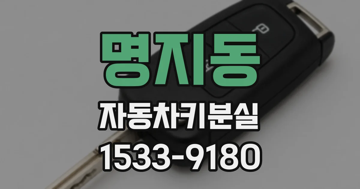 명지동 자동차키분실