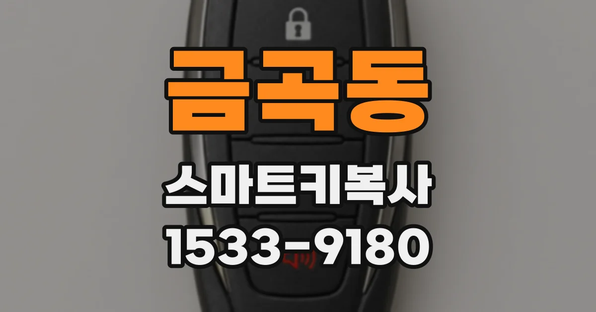 금곡동 스마트키복사