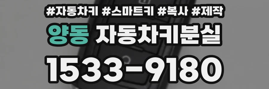 양동 자동차키분실