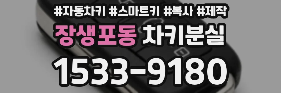 장생포동 차키분실