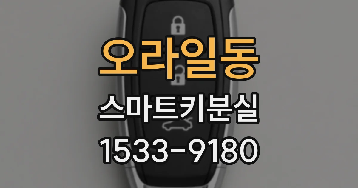 오라일동 스마트키분실