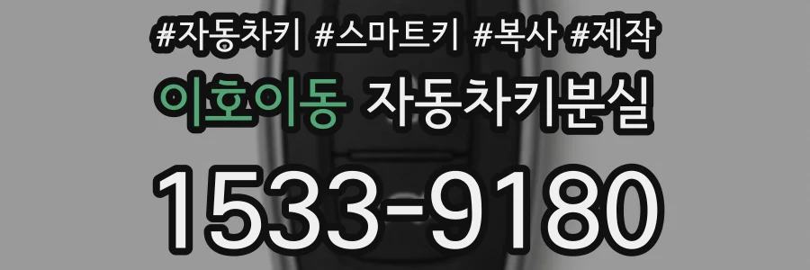 이호이동 자동차키분실
