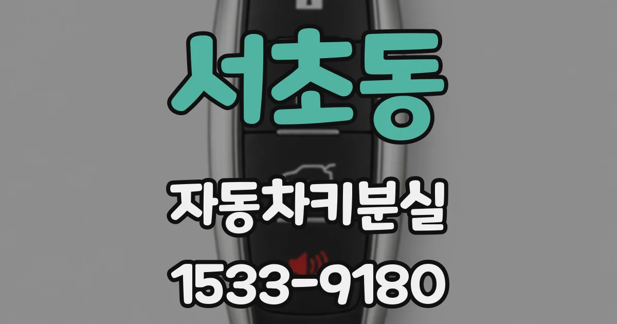 서초동 자동차키분실