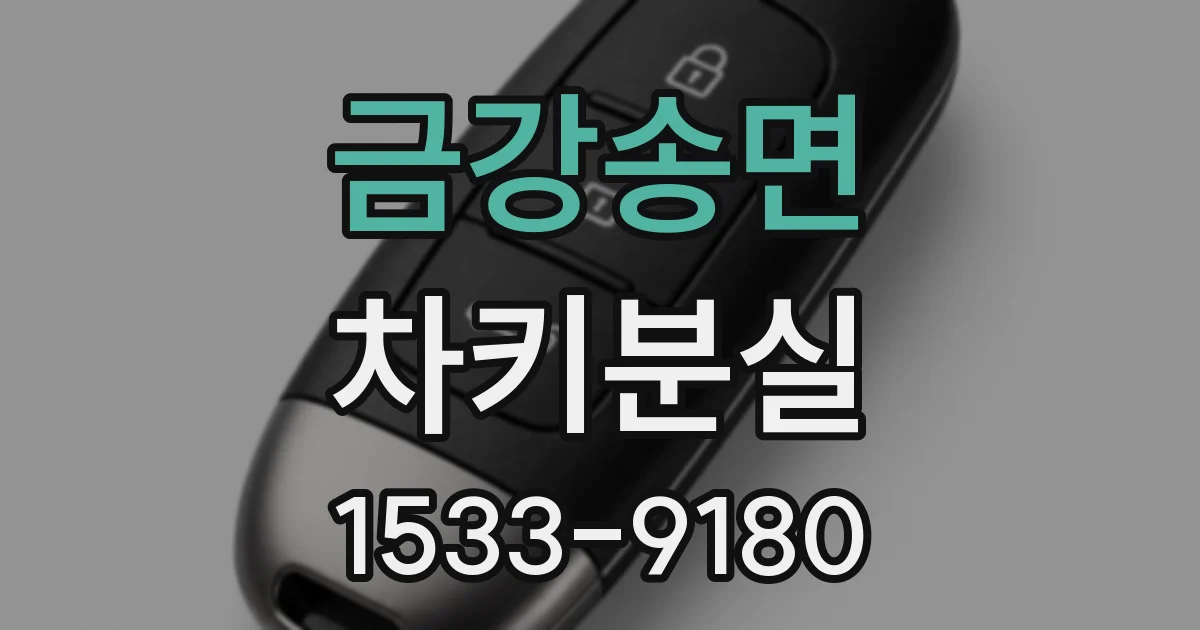 금강송면 차키분실