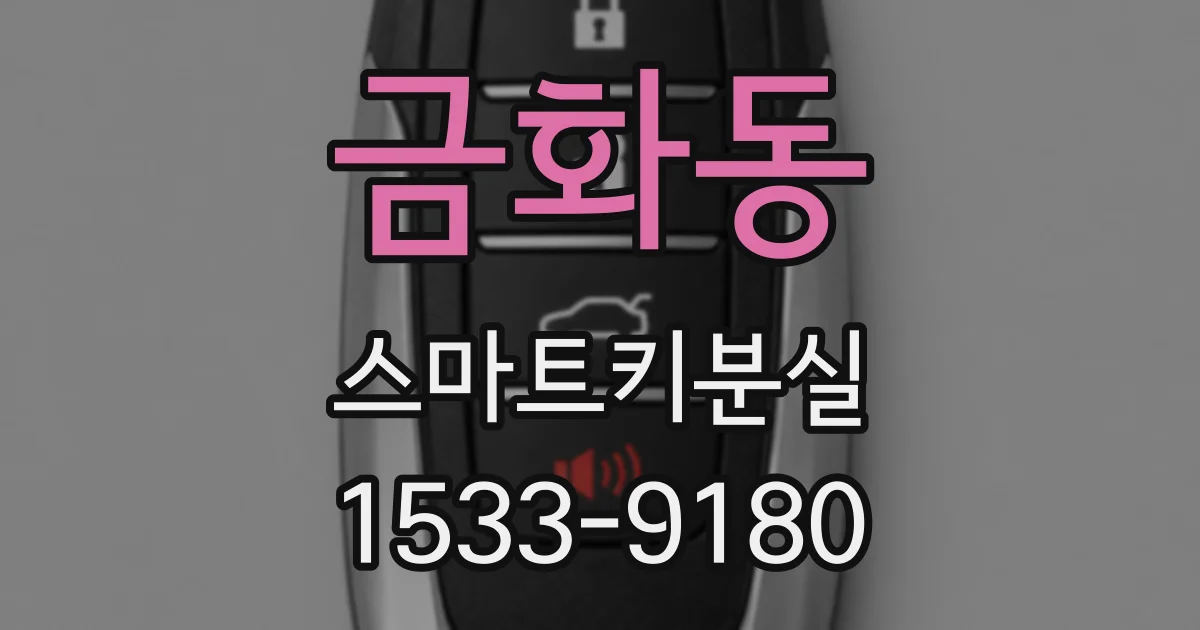 금화동 스마트키분실